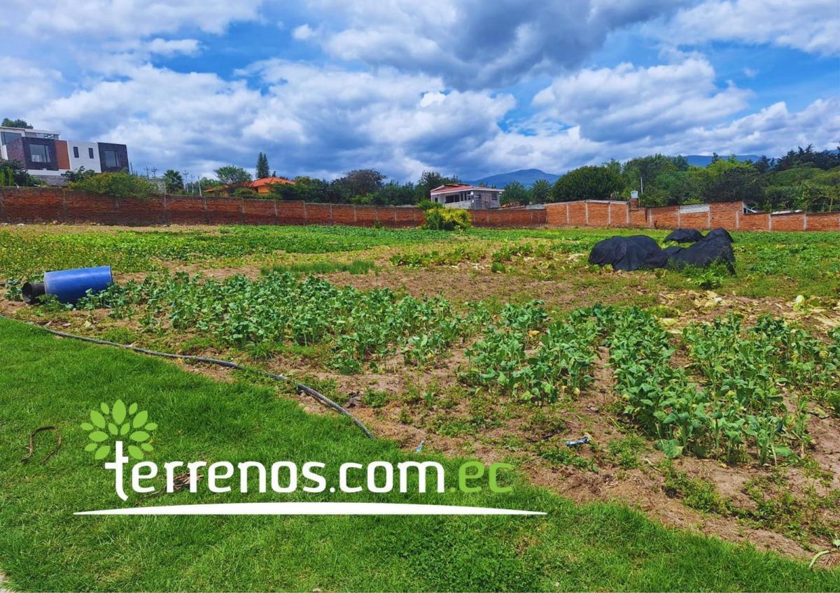 Terreno Independiente de Venta de 4.250 m² Tumbaco — imagen 3