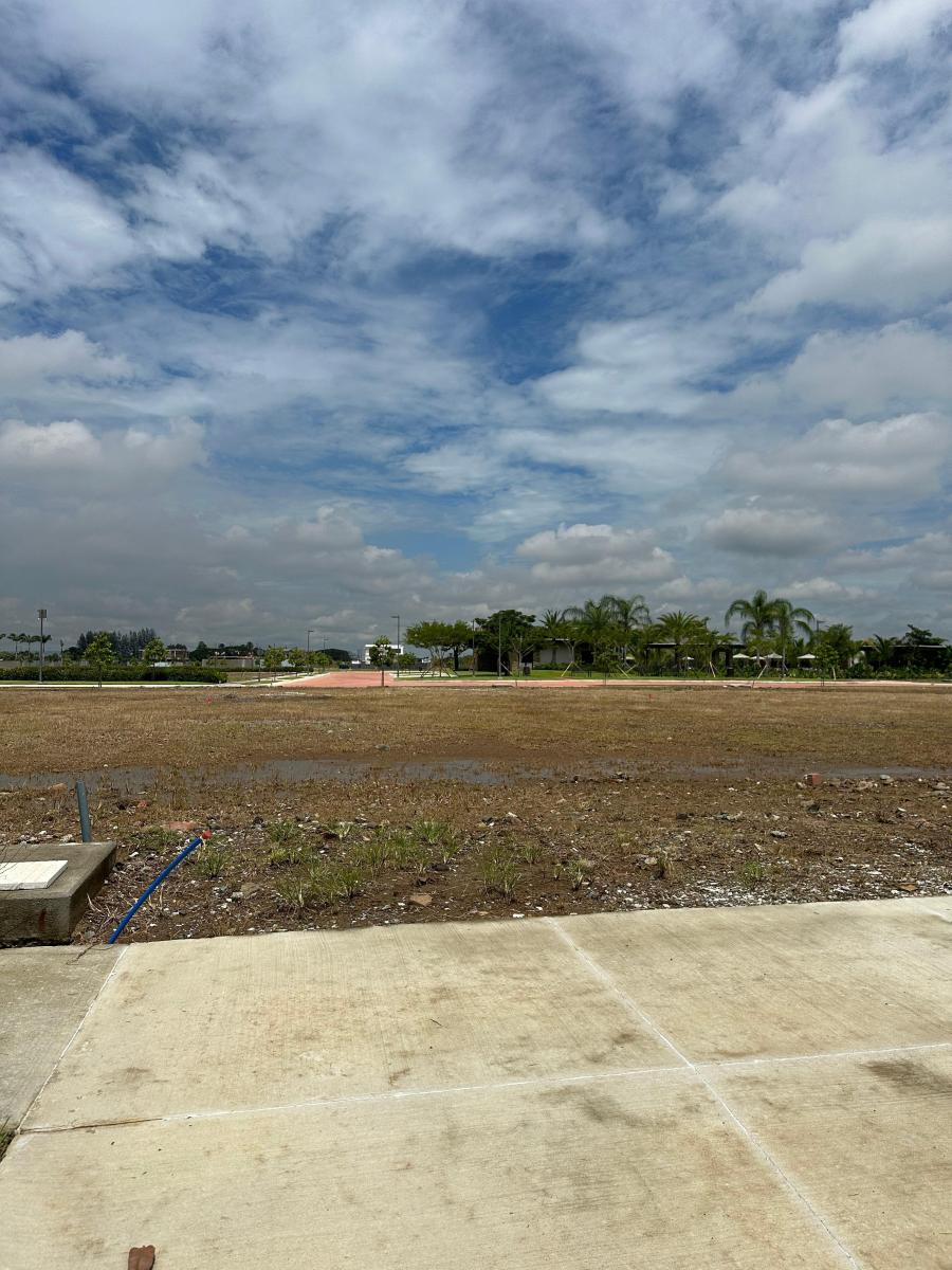 Terreno en Venta en La Urb. Punta Barranca - Samborondón, Guayas — imagen 5