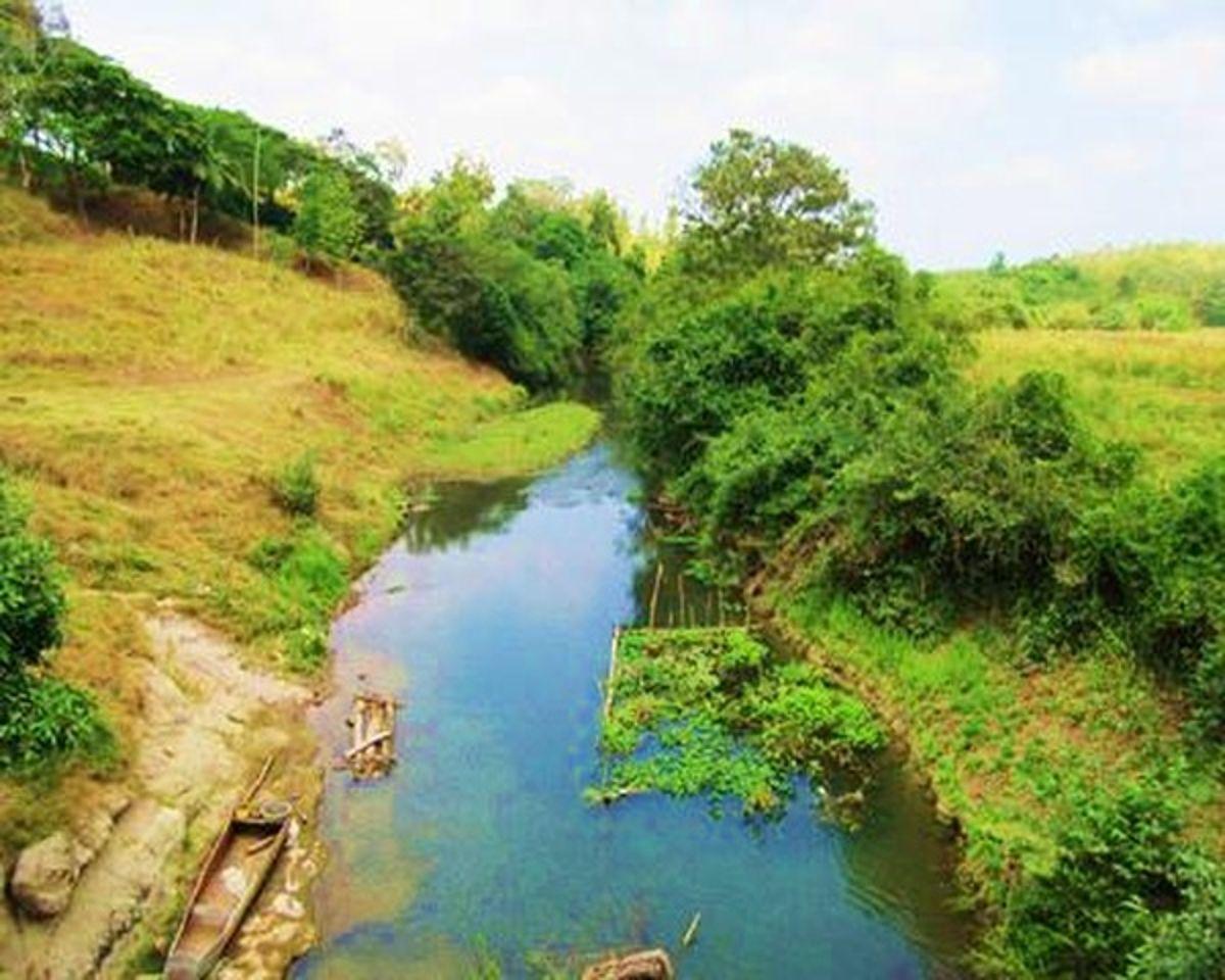 Venta Hacienda Agrícola 60 Ha Balzar Frente Vía, Guayas — imagen 5