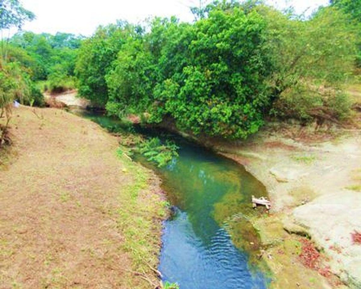 Venta Hacienda Agrícola 60 Ha Balzar Frente Vía, Guayas — imagen 4