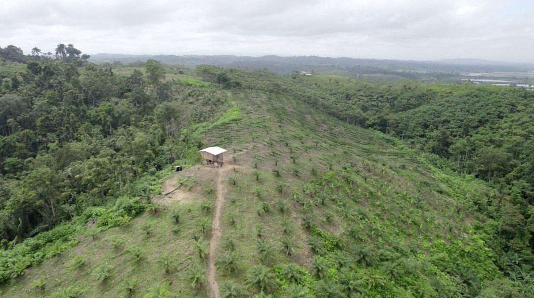Hacienda Agricola en Venta Daule Esmeraldas — imagen 4