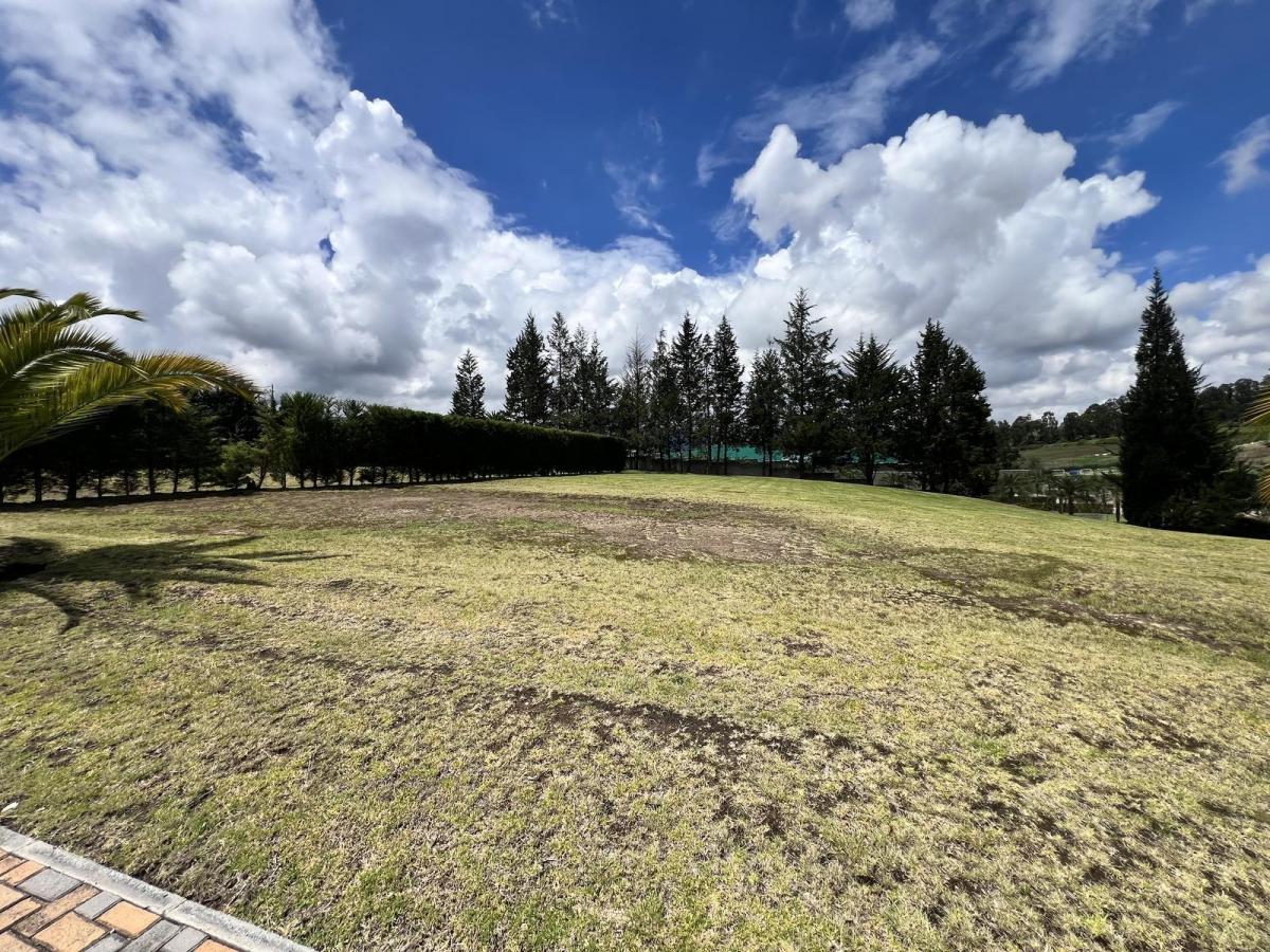 Terreno de Venta Ubicado en Puembo Dentro de Urbanización. Sector Colegio Americano — imagen 3