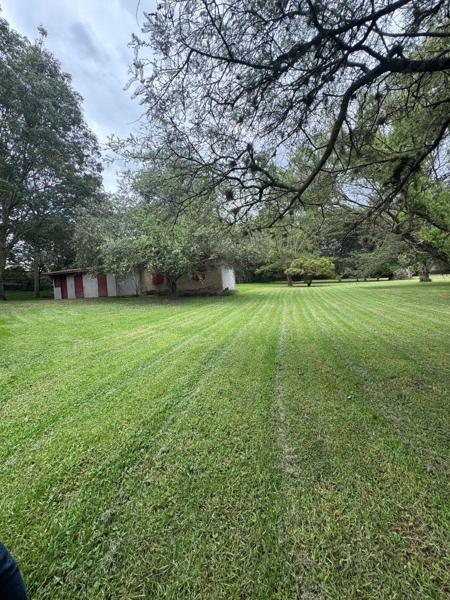 Se Vende Terreno de 12600 m² en Tumbaco en El Sector La Esperanza en $ — imagen 5