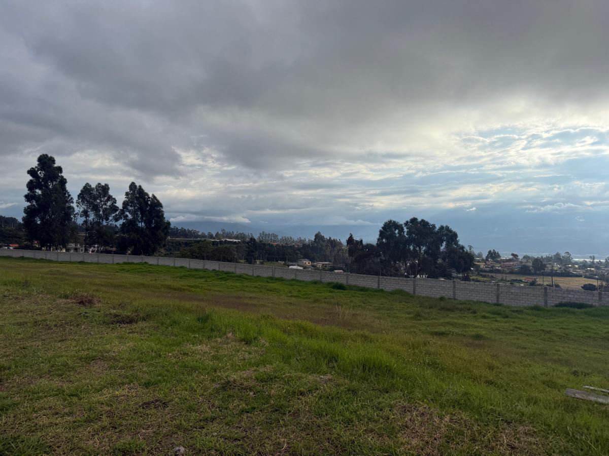 Vendo Último Lote Bifamiliar en Checa — imagen 4