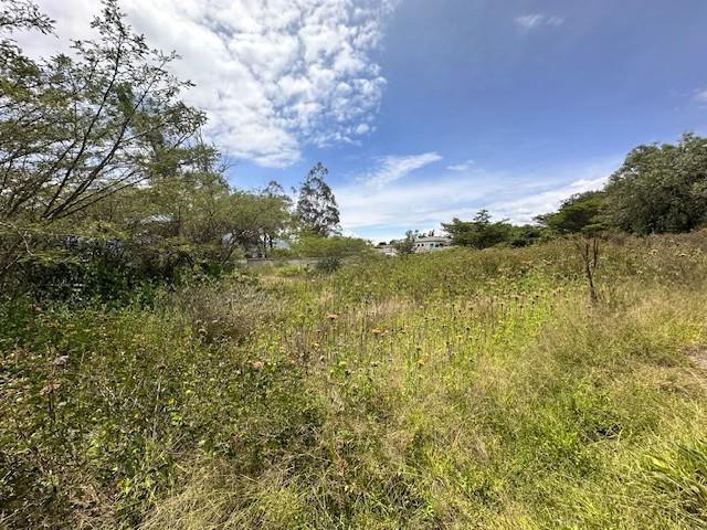 Vendo Hermoso Terreno en Checa Sector Residencial — imagen 5