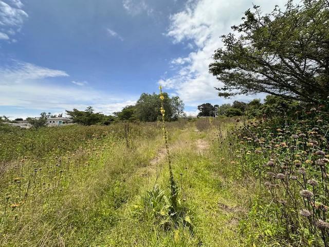 Vendo Hermoso Terreno en Checa Sector Residencial — imagen 3