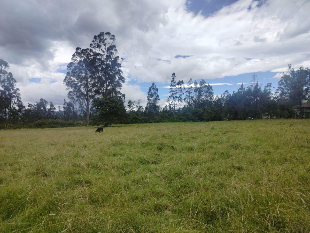 Terreno en Venta, Sangolqui, Cotogchoa — imagen 5