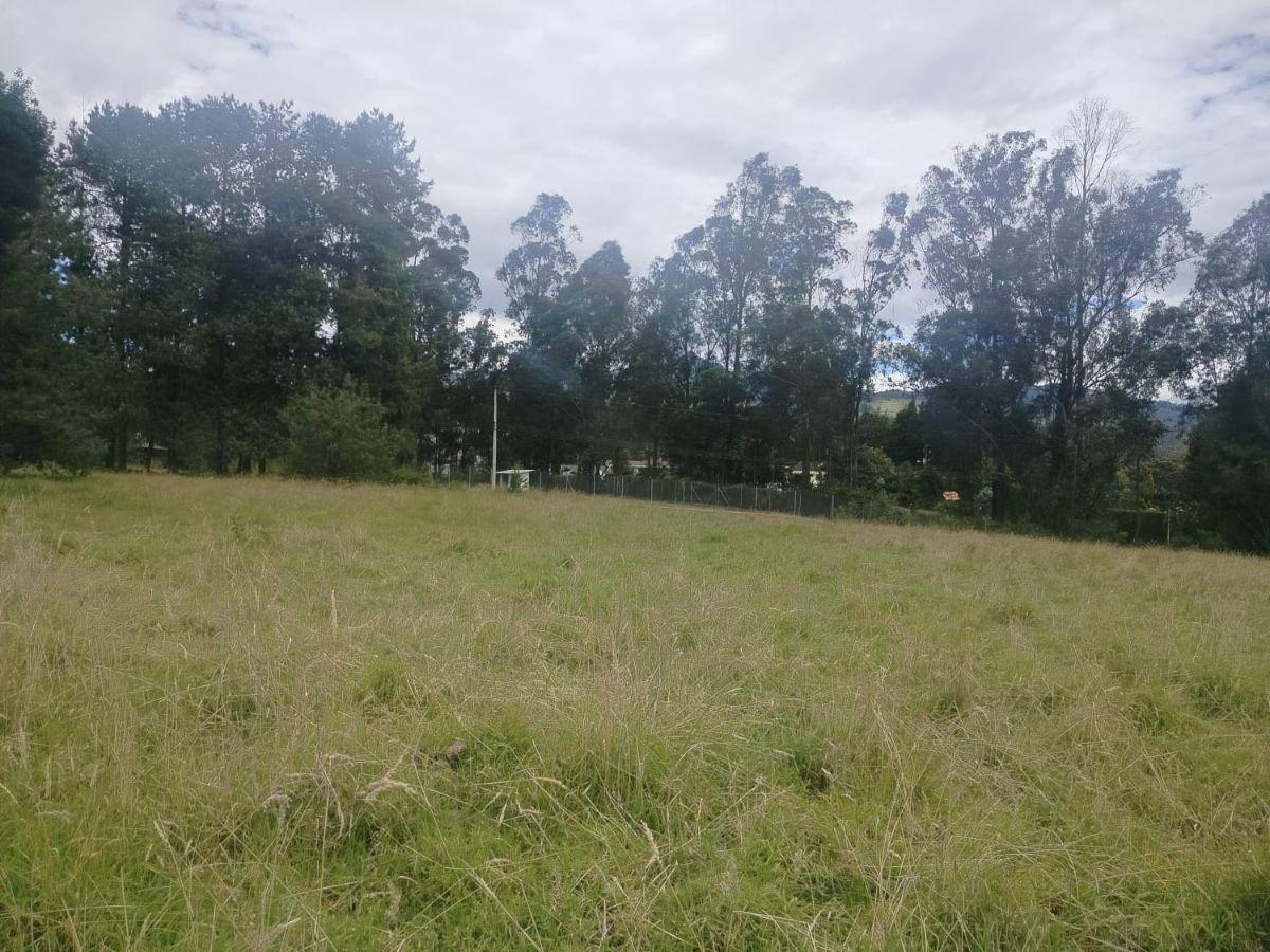 Terreno en Venta, Sangolqui, Cotogchoa — imagen 4