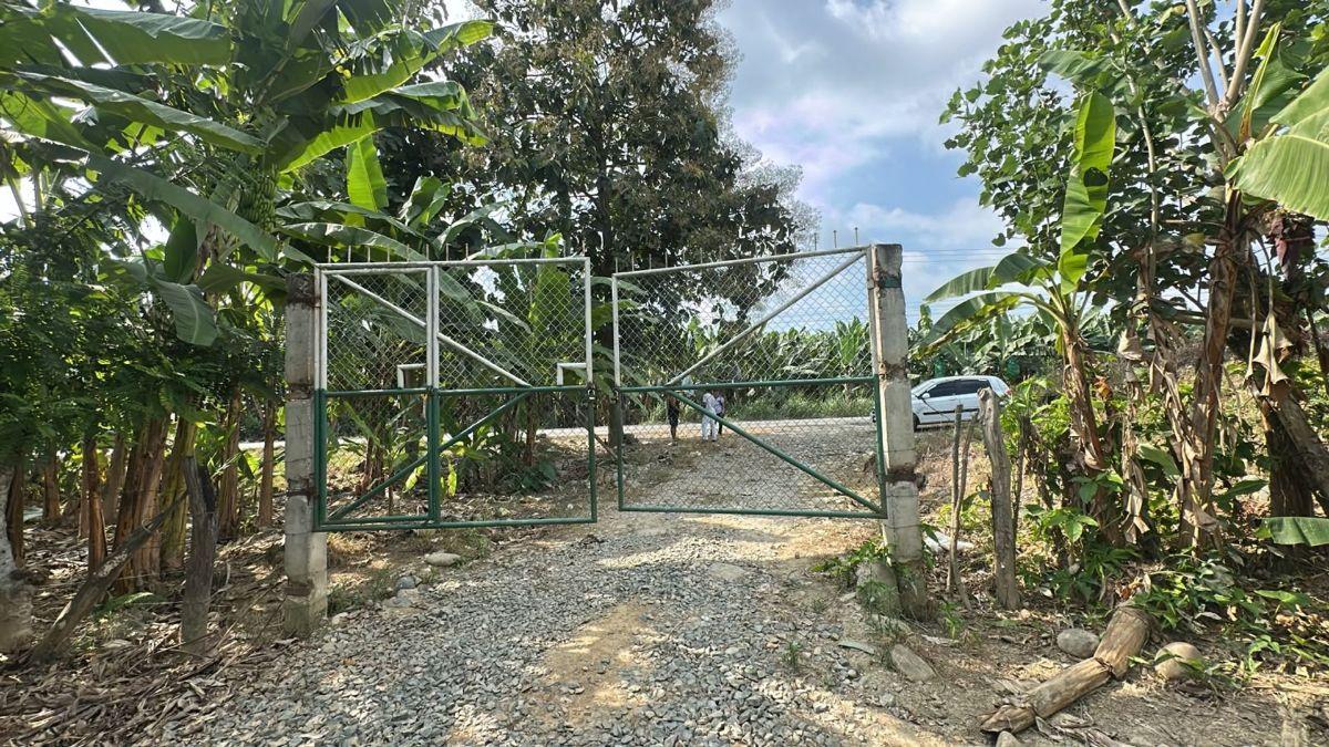 Terrenos en Venta en Buenavista, Pasaje, El Oro — imagen 5
