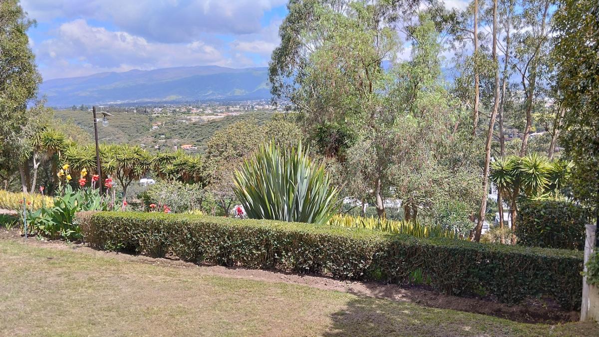 Re/max Futuro Vende Hermoso Terreno de 1.511 m² Urbanización Santa Inés Cumbaya — imagen 4