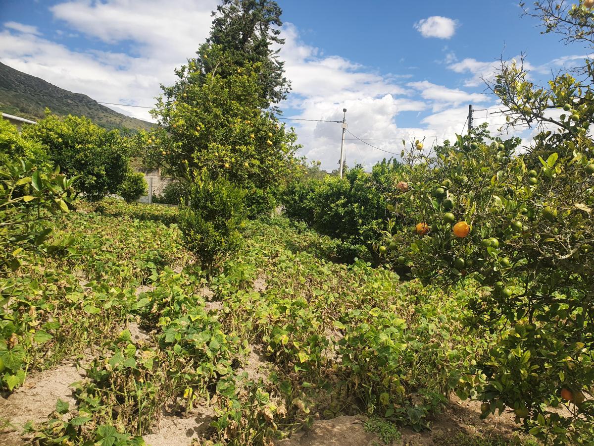 Terreno en Venta en Puéllaro 2400 m² en Derechos y Acciones — imagen 3