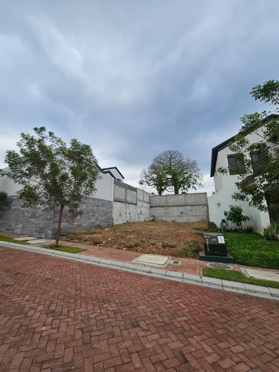 Terreno en Venta – Urbanización Costasol, Etapa I Arienzo. I - Alarcón, Guayas — imagen 5