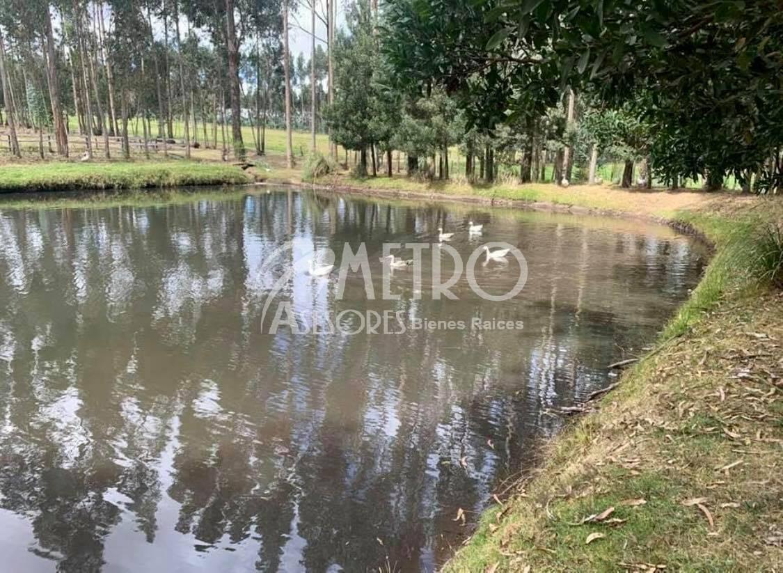 Lote de Terreno 954 m² Tabacundo Dentro de Club Campestre — imagen 3