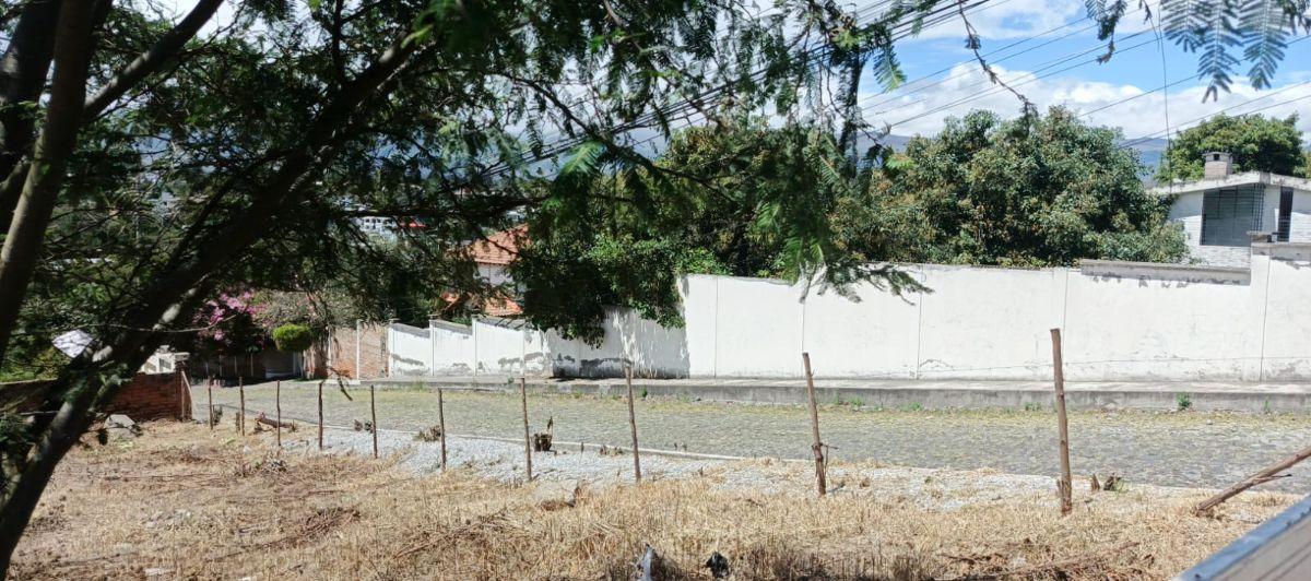 Vendo 1.080 m² Dentro de Urb. Tumbaco La Viña — imagen 7