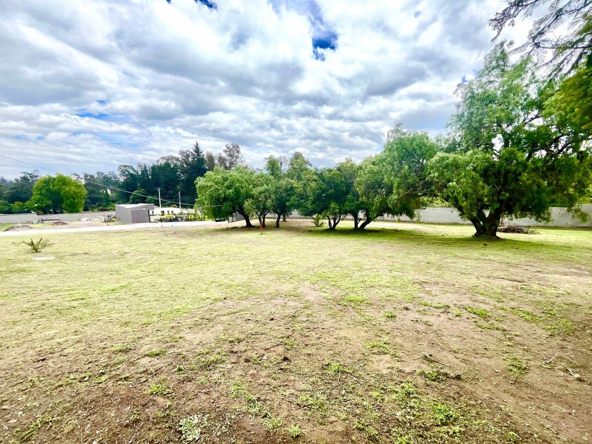 Puembo | Exclusivo Conjunto de 10 Lotes con Diseño Arquitectónico Aprobado — imagen 5