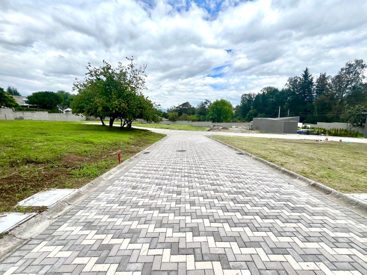 Puembo | Exclusivo Conjunto de 10 Lotes con Diseño Arquitectónico Aprobado — imagen 4