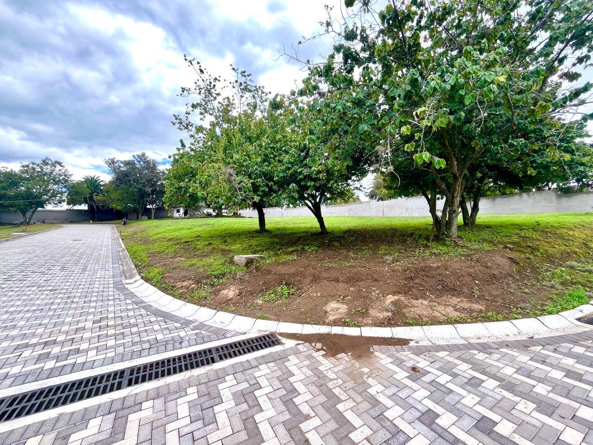 Puembo | Exclusivo Conjunto de 10 Lotes con Diseño Arquitectónico Aprobado — imagen 3