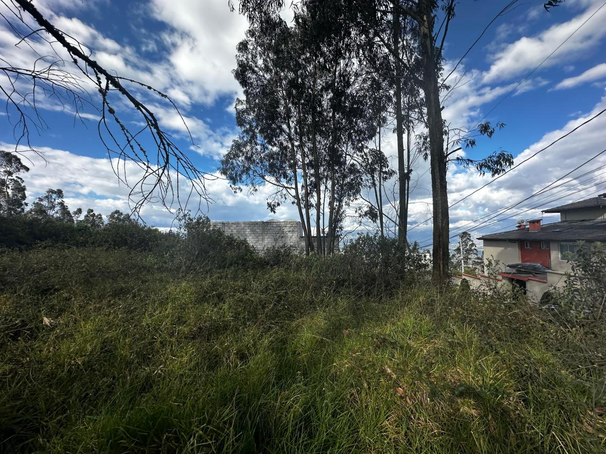 Se Vende Terreno Dentro de Urbanización Sector Embajada Americana — imagen 4
