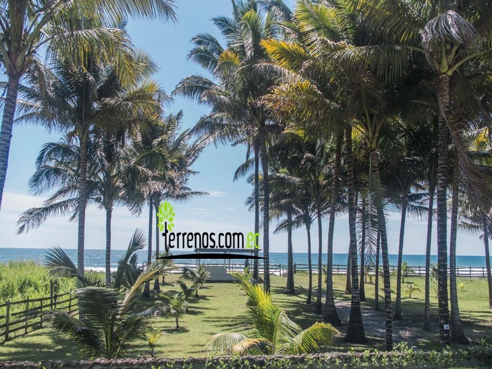 Vendo Terrenos Cojimies Manabí en Urbanización de Lujo Crédito Directo, Manabí — imagen 5