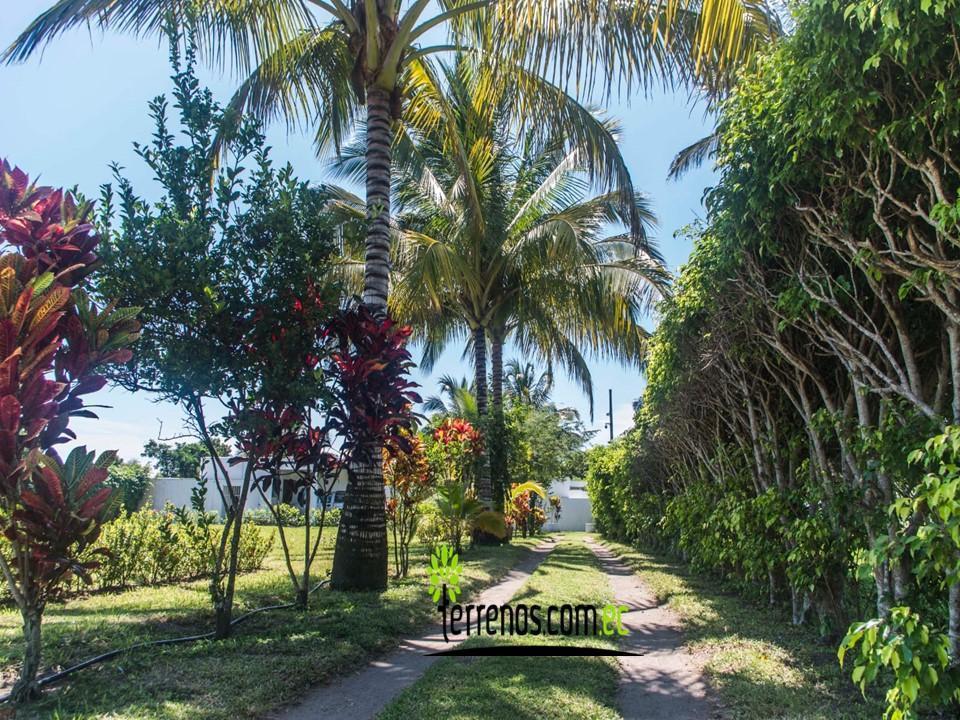 Vendo Terrenos Cojimies Manabí en Urbanización de Lujo Crédito Directo, Manabí — imagen 4