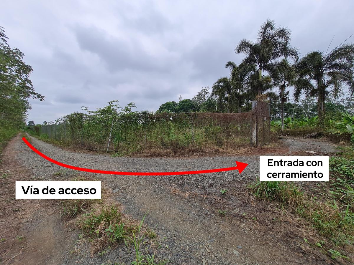 Terreno Agrícola en Venta 5.19 Hectáreas - Cantón Simón Bolivar, Guayas, Guayas — imagen 5