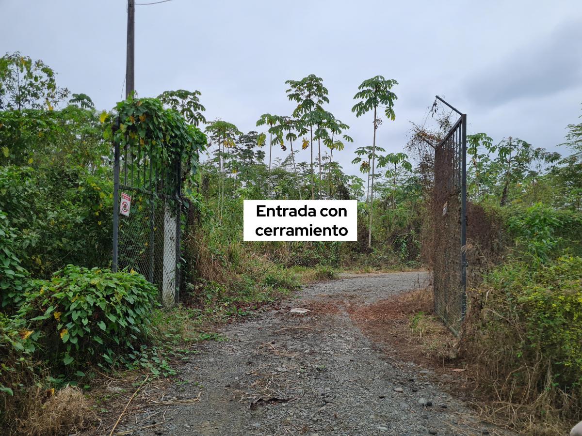 Terreno Agrícola en Venta 5.19 Hectáreas - Cantón Simón Bolivar, Guayas, Guayas — imagen 4