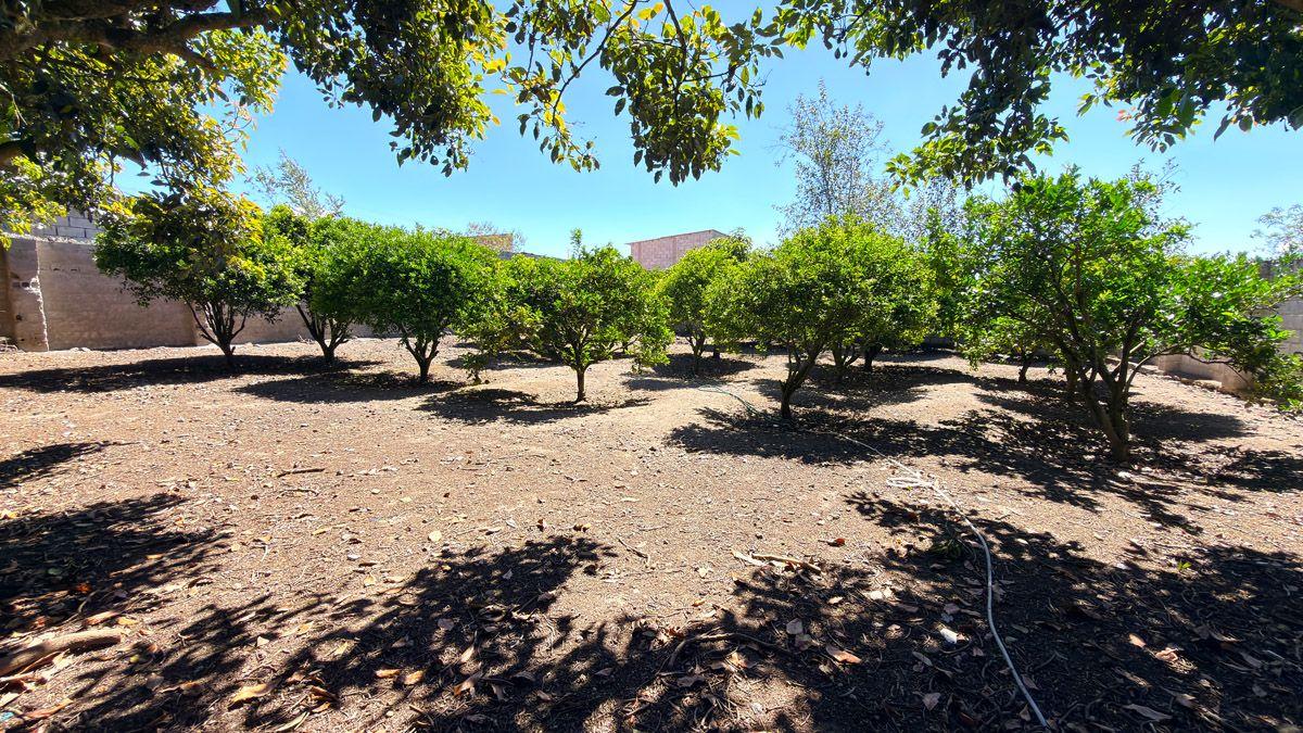 Casa en Venta con Amplio Terreno en Cotacachi, Imbabura — imagen 3