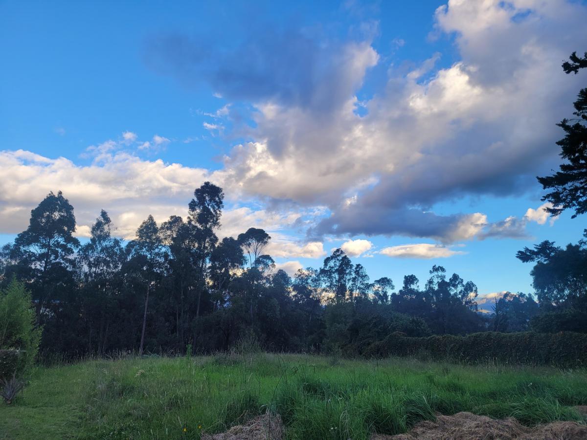 Terreno en Venta, Sector Capelo — imagen 5