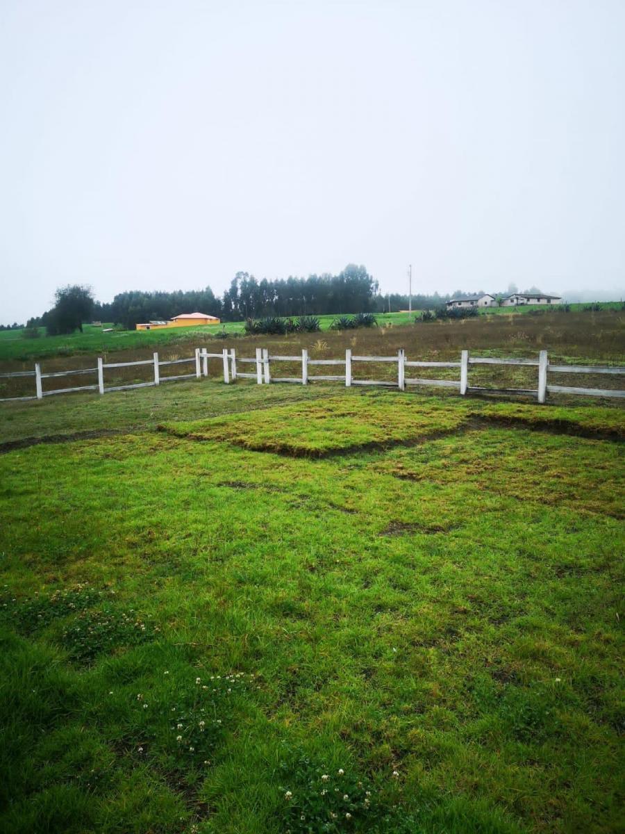 Venta Hermosa Finca Mulalo Faldas del Cotopaxi, Cotopaxi — imagen 6