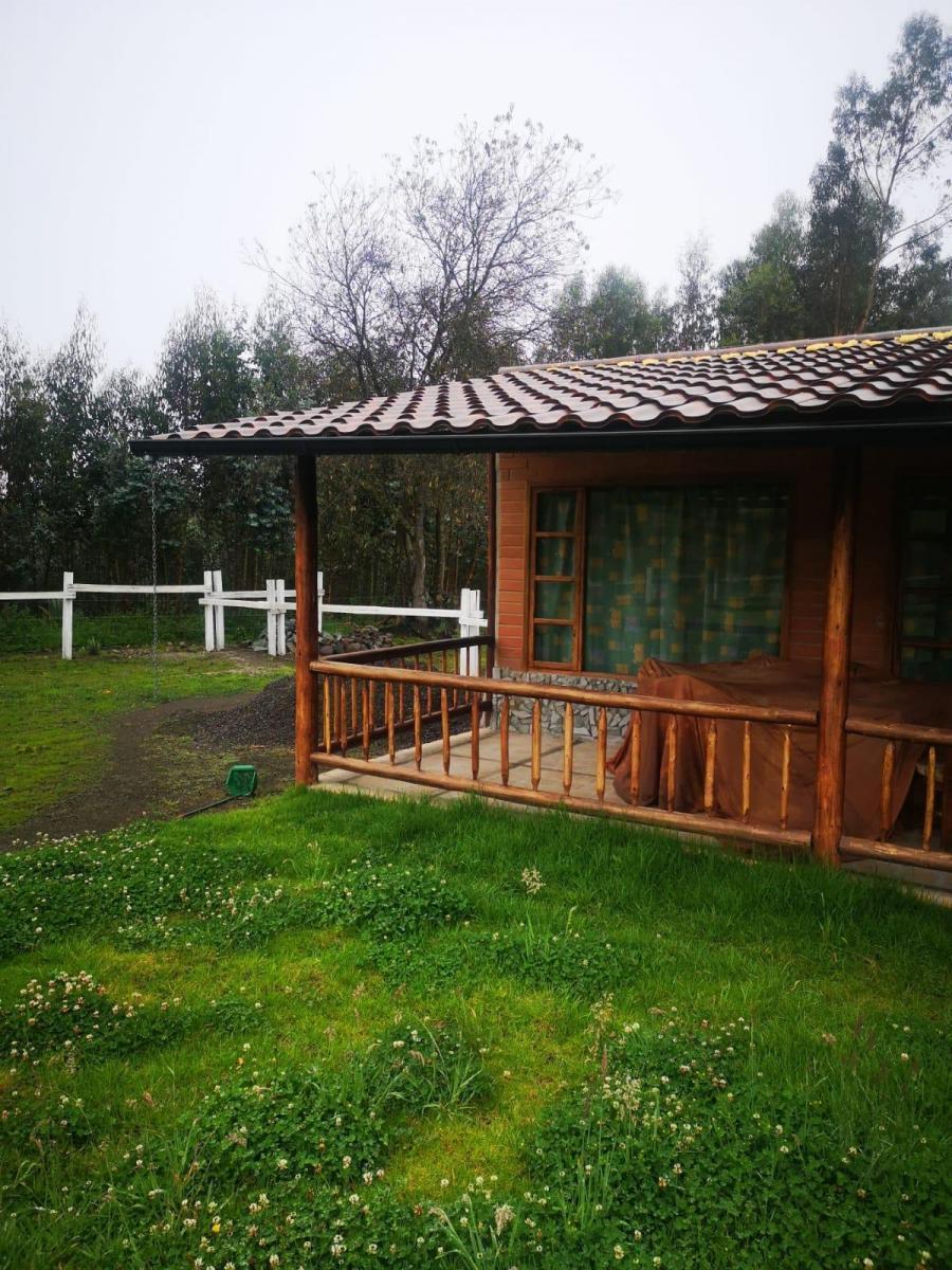 Venta Hermosa Finca Mulalo Faldas del Cotopaxi, Cotopaxi — imagen 4