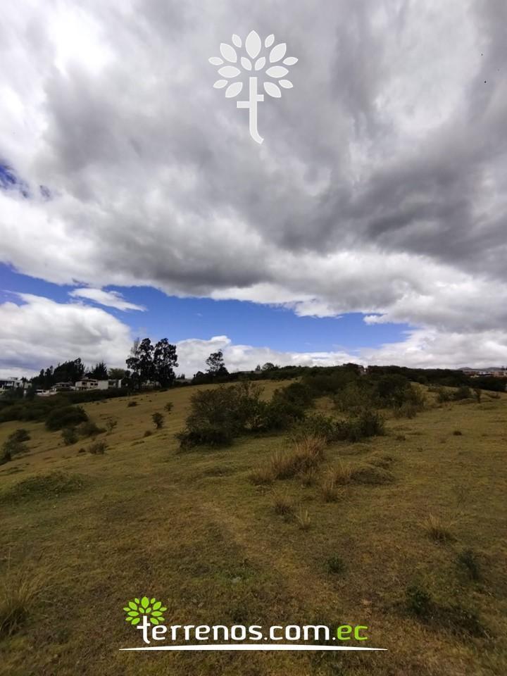 Terreno de Venta de 25.100 m², Sector El Colibrí — imagen 5