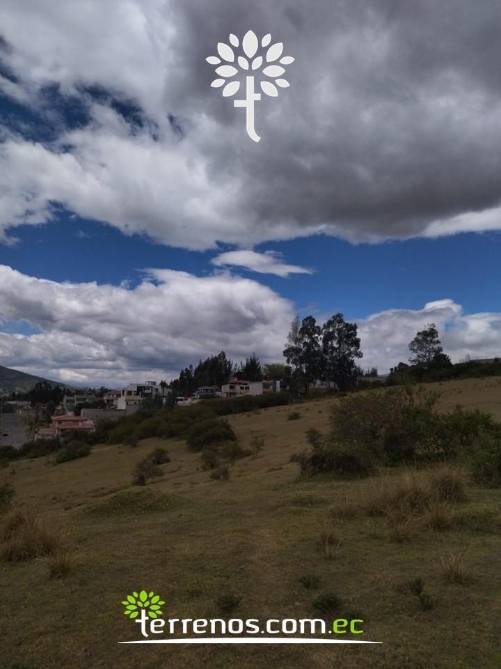 Terreno de Venta de 25.100 m², Sector El Colibrí — imagen 4