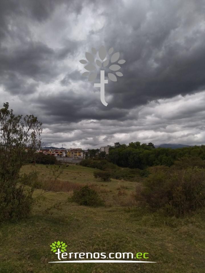 Terreno de Venta de 25.100 m², Sector El Colibrí — imagen 3