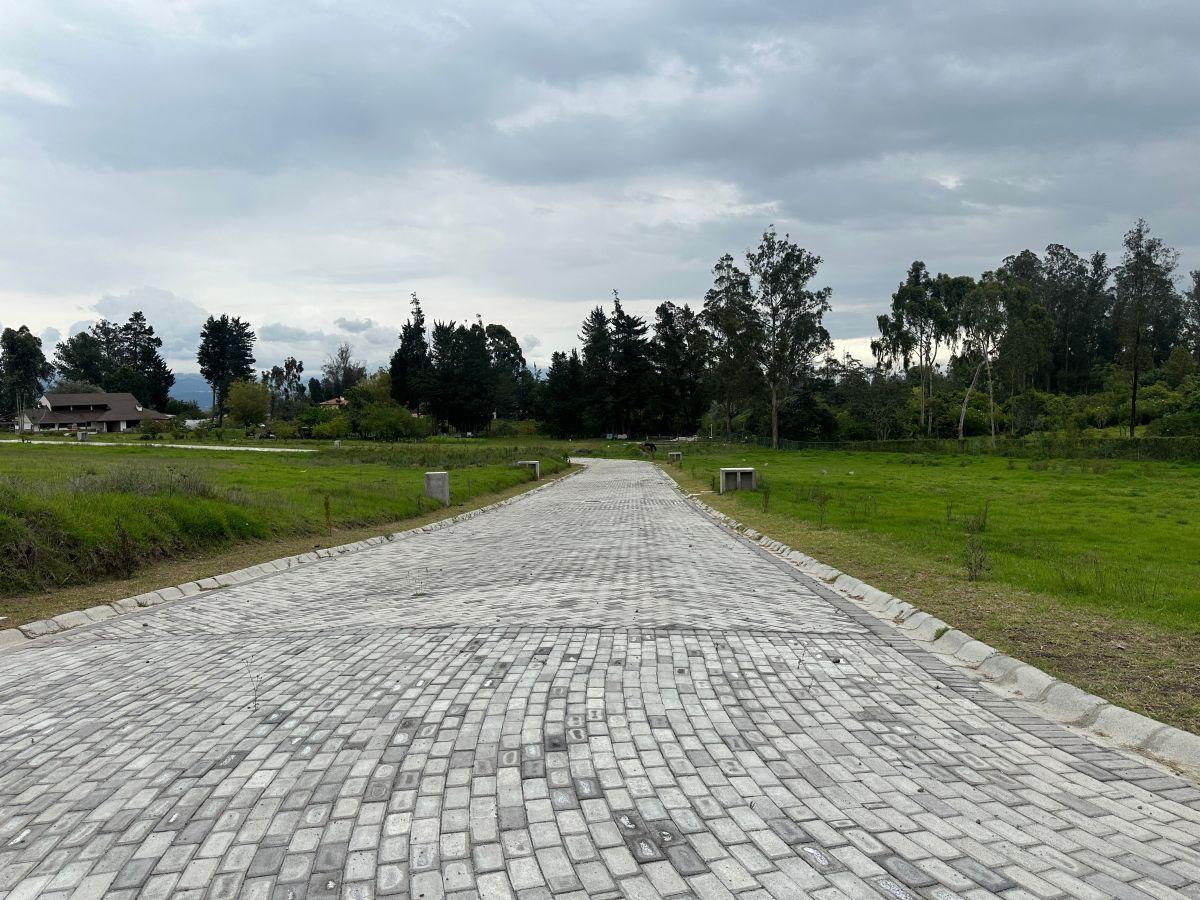 Vendo Hermosos Terrenos en Puembo Conjunto Cerrado 1.007,63 m² — imagen 5