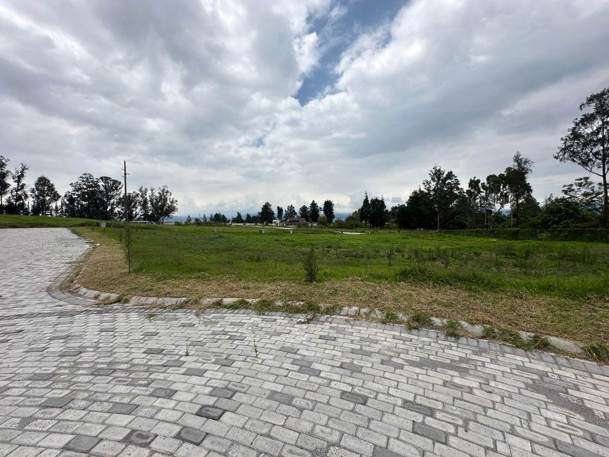 Vendo Hermosos Terrenos en Puembo Conjunto Cerrado 1.007,63 m² — imagen 3