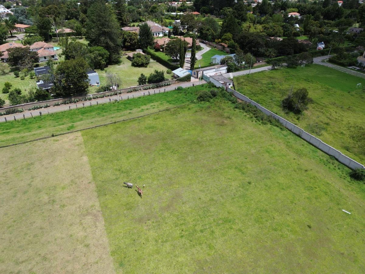 Terreno Plano de Venta en Puembo, Ideal Para Proyecto. Sector 3ra Fase Ruta Viva — imagen 3