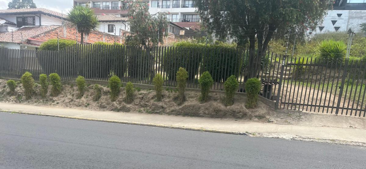 Vendo Excelente Terreno Ideal Construccion Edificio - Sector Ponceano — imagen 3