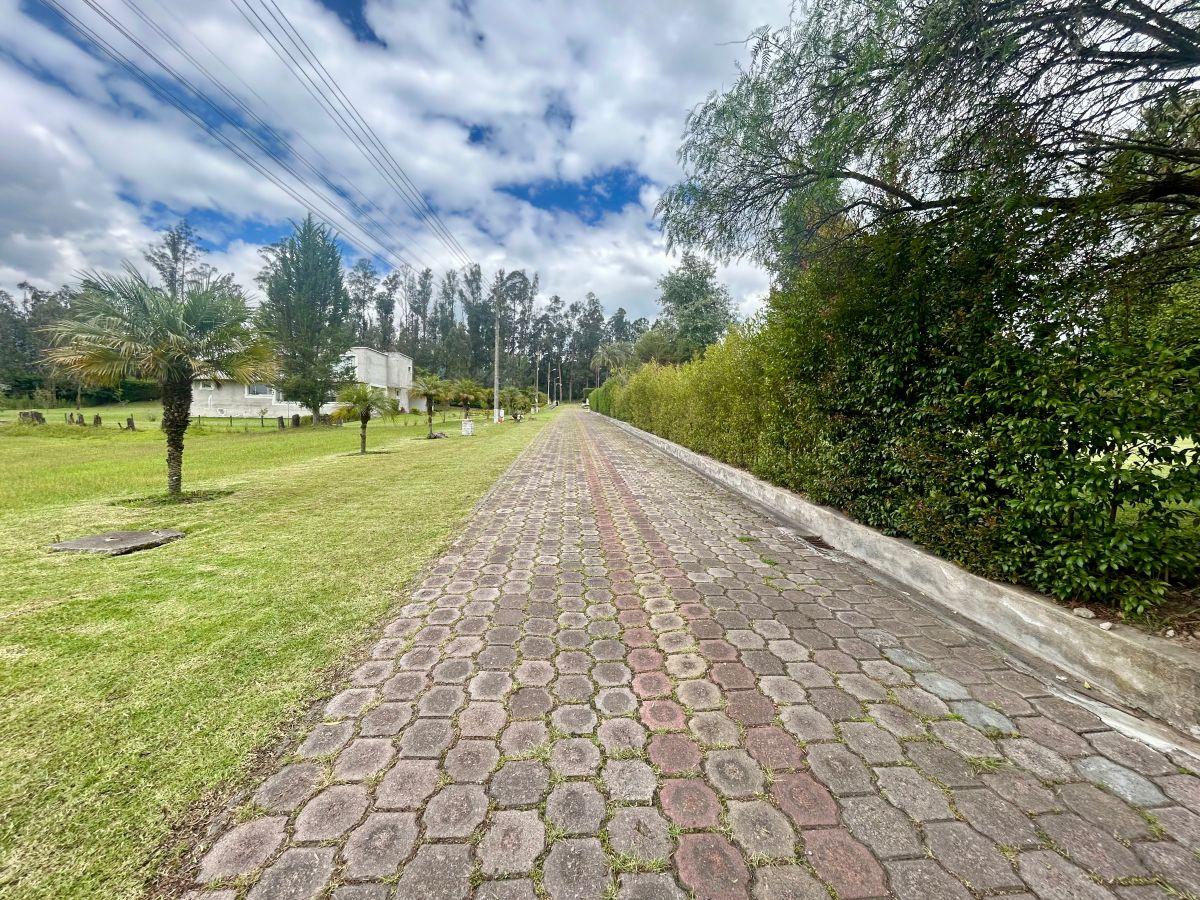 Venta Tumbaco La Morita Terreno Plano en Conjunto de 8 Casas — imagen 3
