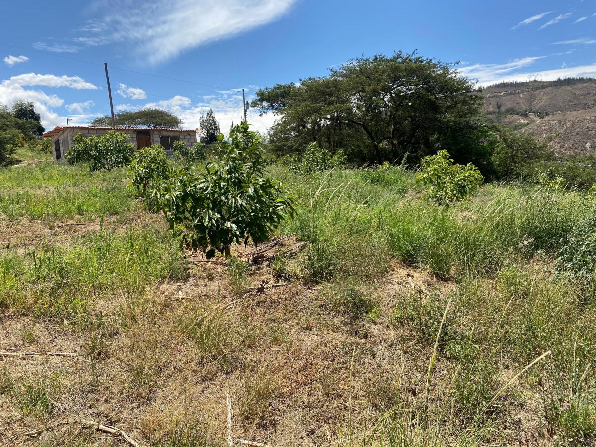 Guayllabamba Terreno 14.300 m² de Venta — imagen 3