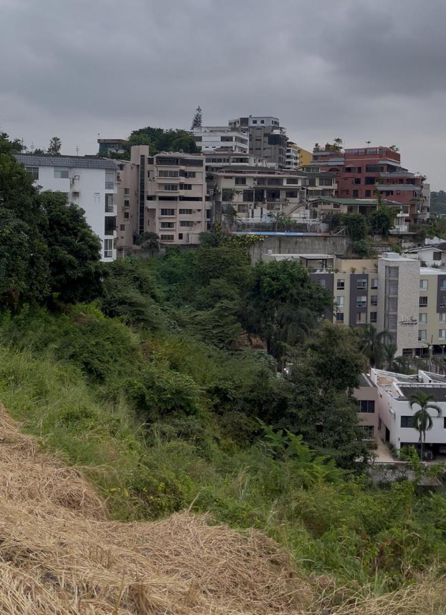 Venta - For Sale - Terreno Para Proyecto Inmobiliario U$140.991 A. Quintana, Guayas — imagen 3