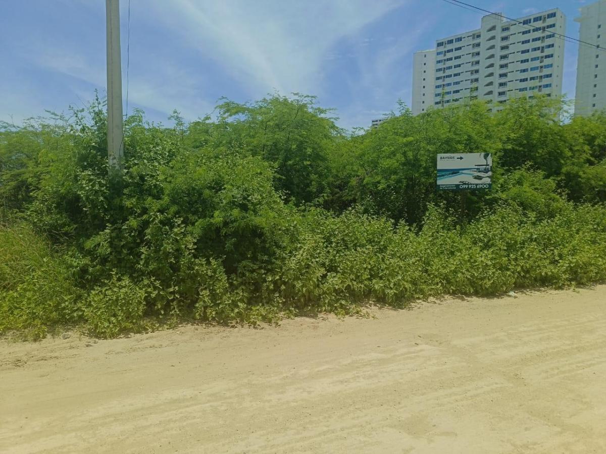 Terreno en Venta Punta Blanca Entrada 5 - a Marín — imagen 5