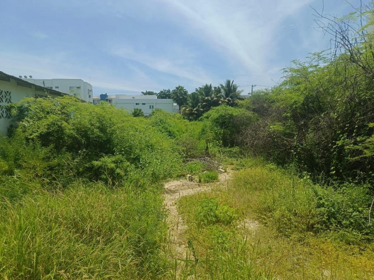 Terreno en Venta Punta Blanca Entrada 5 - a Marín — imagen 3