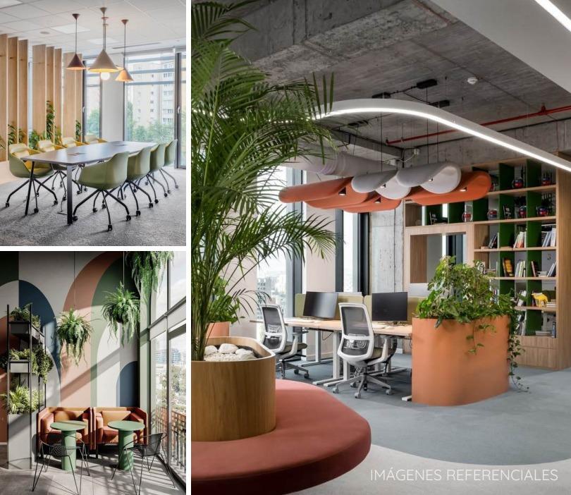Quartier — imagen 7