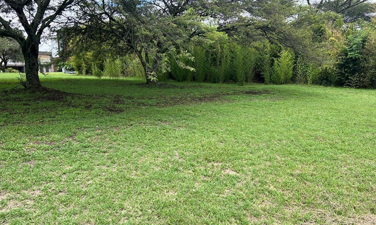 Cumbaya Terreno de Venta en Urbanizacion Exclusiva — imagen 5