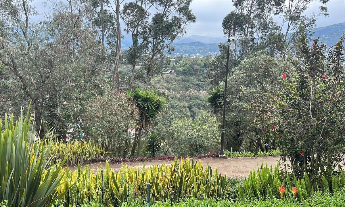 Cumbaya Terreno de Venta en Urbanizacion Exclusiva — imagen 3