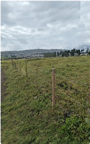 Terreno esquinero con hermosa vista en Pichincha — imagen 3