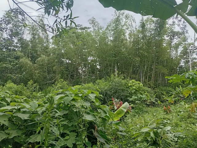 Terreno — imagen 3