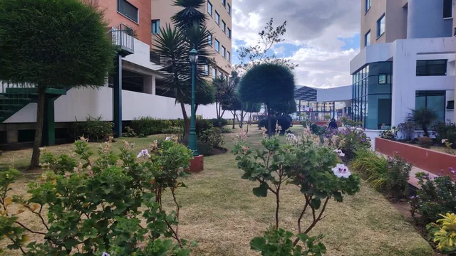 Oportunidad Departamento en el bosque — imagen 2
