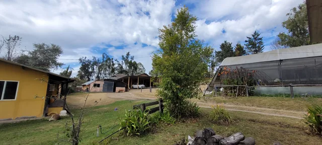 Venta terreno Checa 11.225 m² — imagen 2