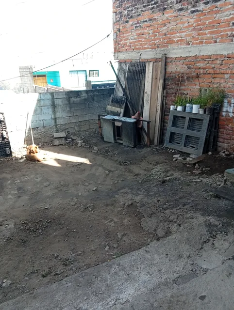 Ganga en Ponceano — imagen 4